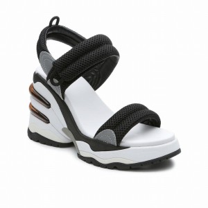 Ash Cosmos Platform Women Wedge Sandals Black | 219469-425