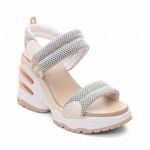 Ash Cosmos Platform Women Wedge Sandals Grey | 875543-660