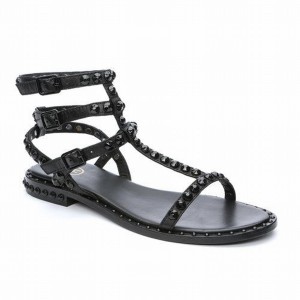 Ash Play Bis Tonal-Studded Flat Women Sandals Black | 229757-763