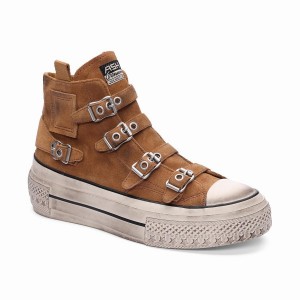 Ash Rainbow Suede Buckle Hightop Women Sneakers Brown | 970224-036