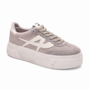 Ash Starmoon Suede Platform Women Sneakers Grey | 885718-764